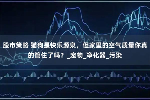 股市策略 猫狗是快乐源泉，但家里的空气质量你真的管住了吗？_宠物_净化器_污染