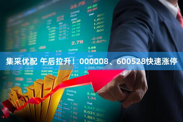 集采优配 午后拉升！000008、600528快速涨停