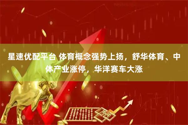 星速优配平台 体育概念强势上扬，舒华体育、中体产业涨停，华洋赛车大涨