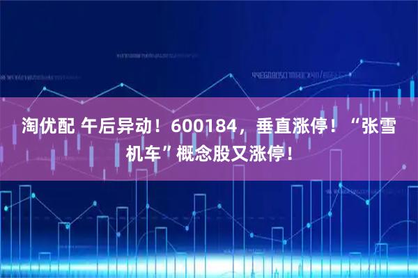 淘优配 午后异动！600184，垂直涨停！“张雪机车”概念股又涨停！