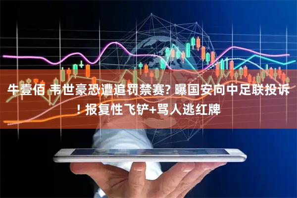 牛壹佰 韦世豪恐遭追罚禁赛? 曝国安向中足联投诉! 报复性飞铲+骂人逃红牌